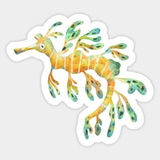 Leafy Seadragon Sticker